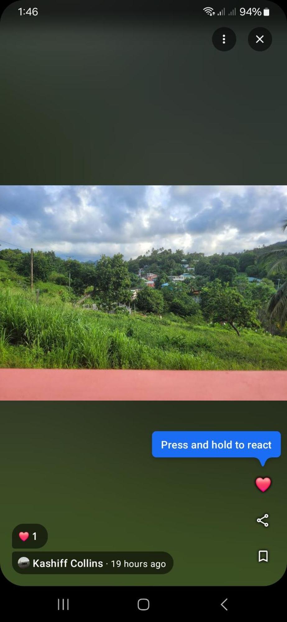 Natrue'S Haven Bed & Breakfast Marigot Exterior photo